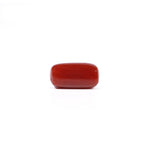 Red Coral - 4.61 Carat