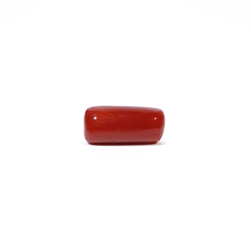 Red Coral - 4.61 Carat