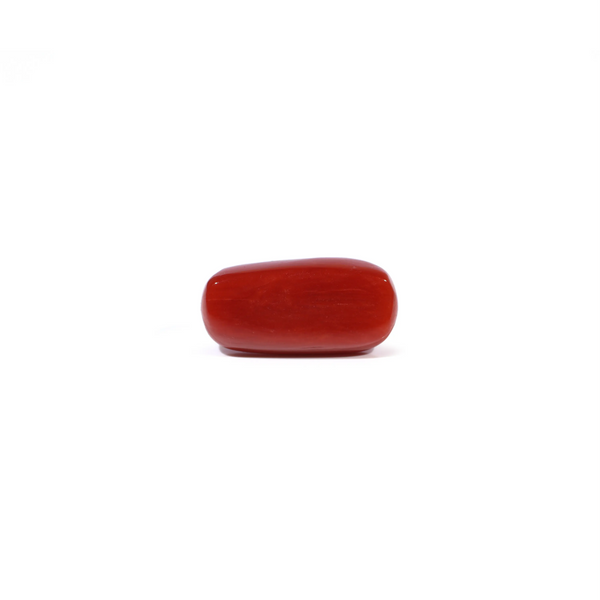 Red Coral - 4.69 Carat