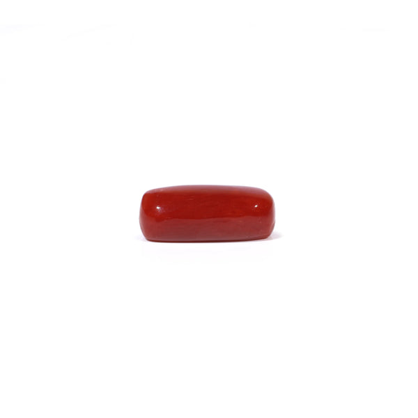 Red Coral - 4.69 Carat