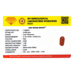 Red Coral - 4.69 Carat