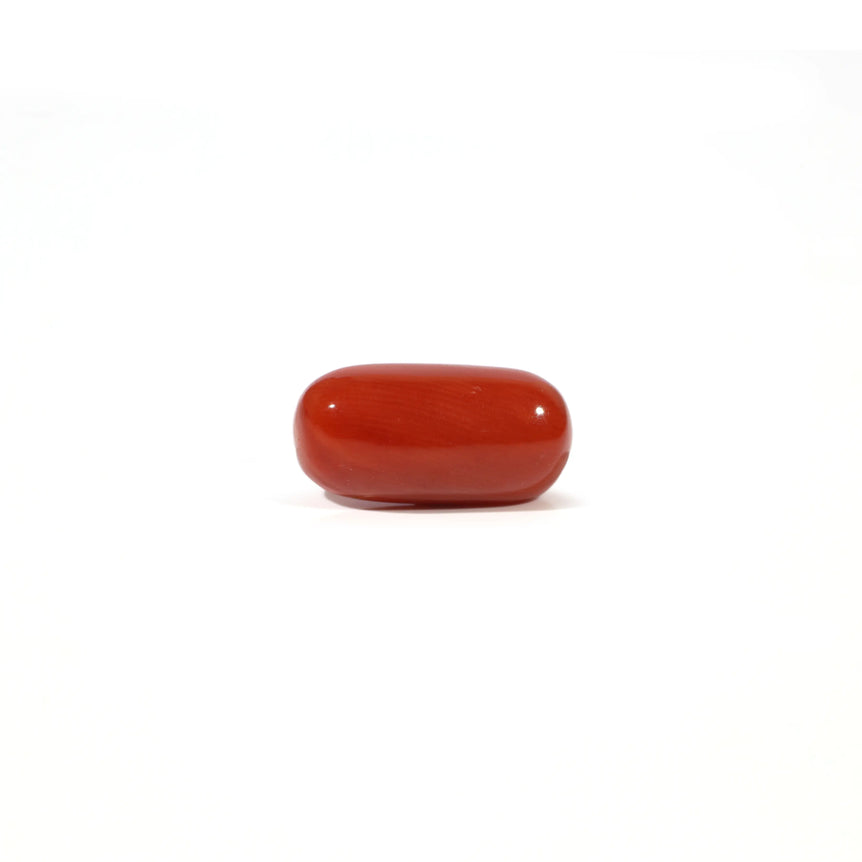 Red Coral - 4.57 Carat - Pramogh