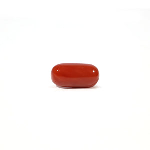 Red Coral - 4.57 Carat - Pramogh
