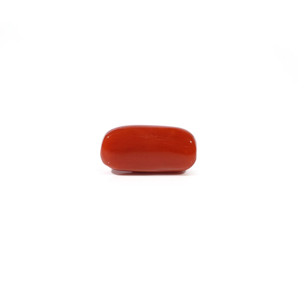 Red Coral - 4.57 Carat