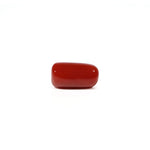 Red Coral - 4.73 Carat - Pramogh