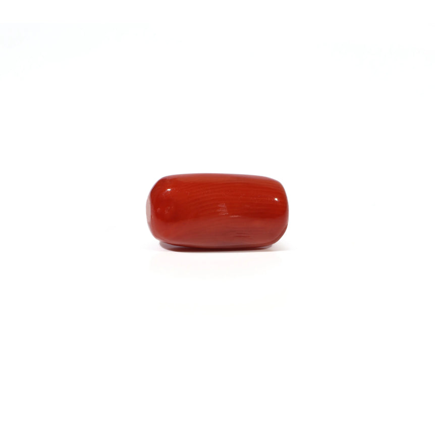 Red Coral - 4.8 Carat - Pramogh