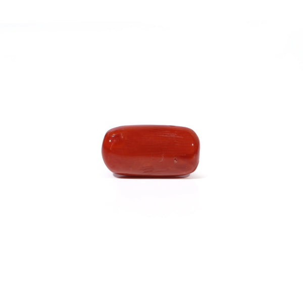 Red Coral - 4.8 Carat