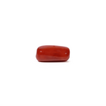 Red Coral - 4.8 Carat