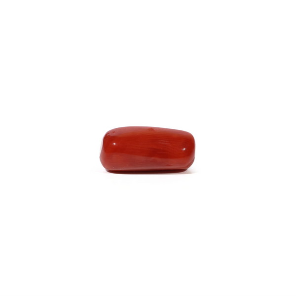 Red Coral - 4.8 Carat