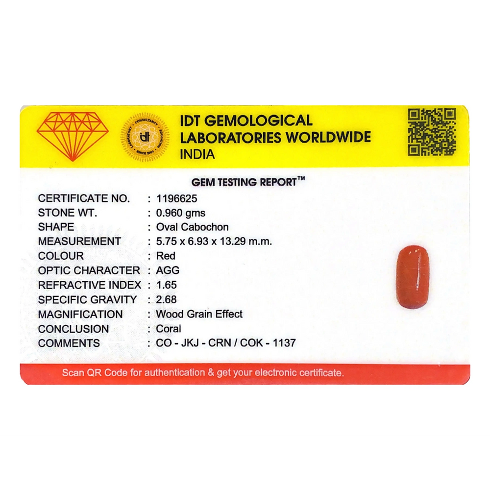 Red Coral - 4.8 Carat