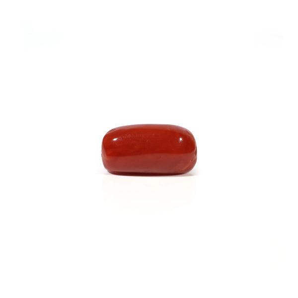 Red Coral - 5.16 Carat - Pramogh
