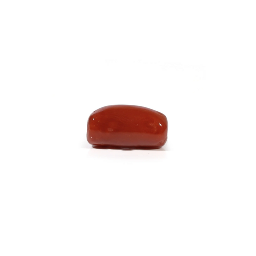 Red Coral - 5.16 Carat