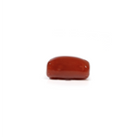Red Coral - 5.16 Carat