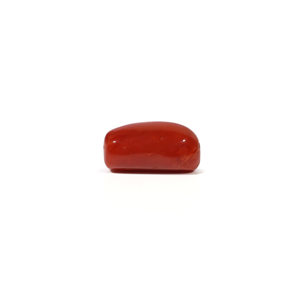 Red Coral - 5.16 Carat