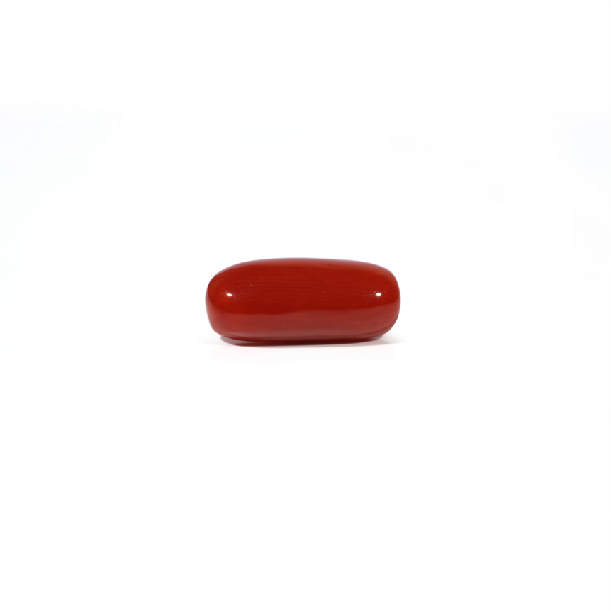 Red Coral - 4.88 Carat - Pramogh