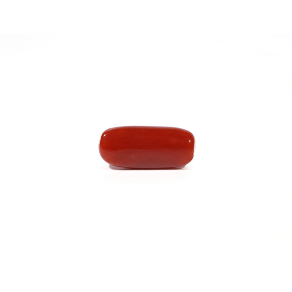 Red Coral - 4.88 Carat