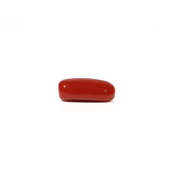 Red Coral - 4.88 Carat