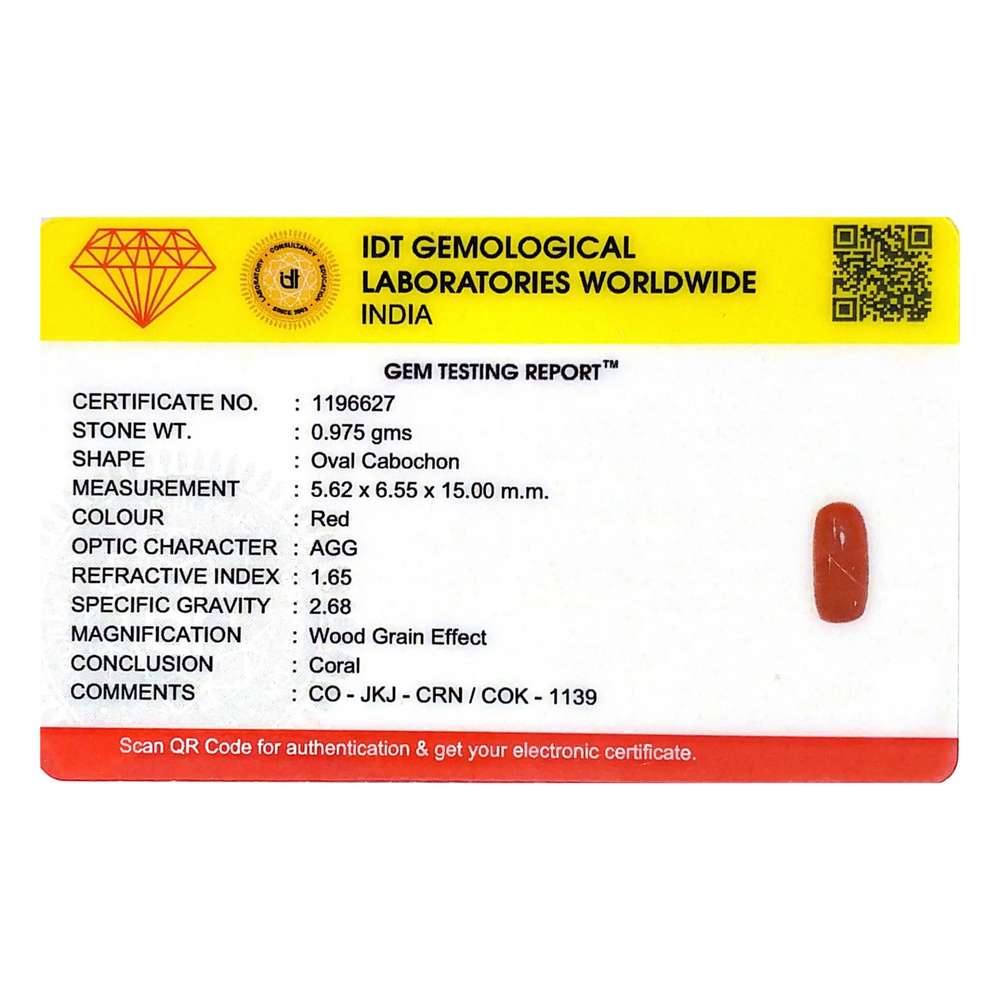 Red Coral - 4.88 Carat