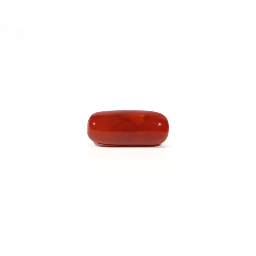 Red Coral - 4.67 Carat - Pramogh