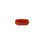 Red Coral - 4.67 Carat - Pramogh