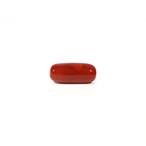 Red Coral - 4.67 Carat - Pramogh
