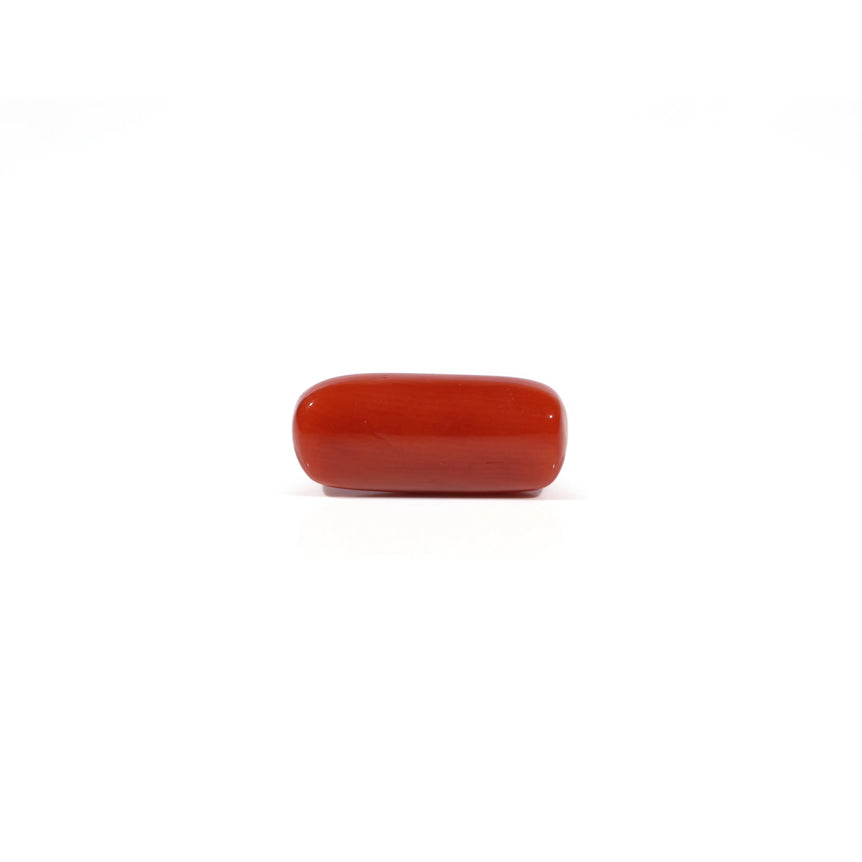 Red Coral - 4.67 Carat