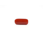 Red Coral - 4.67 Carat
