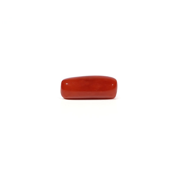 Red Coral - 4.67 Carat