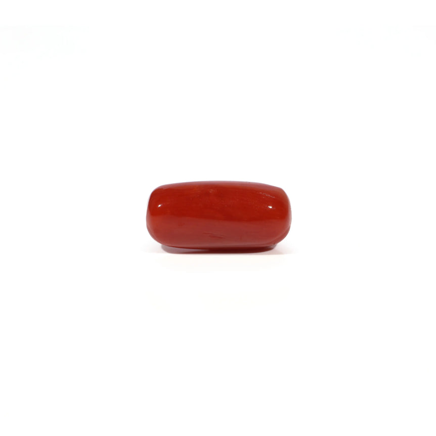Red Coral - 4.59 Carat - Pramogh