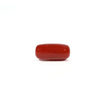 Red Coral - 4.59 Carat - Pramogh