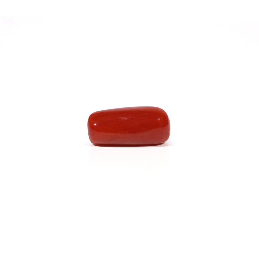 Red Coral - 4.59 Carat