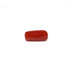 Red Coral - 4.59 Carat