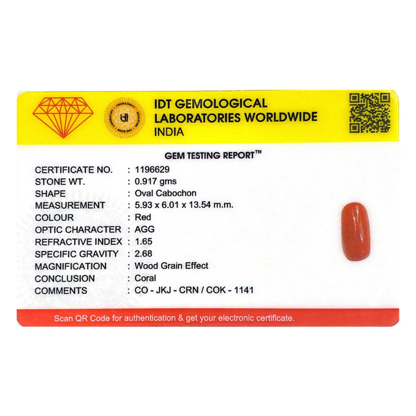 Red Coral - 4.59 Carat