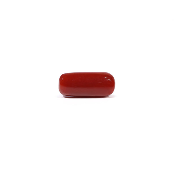 Red Coral - 5.12 Carat - Pramogh