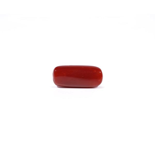Red Coral - 5.12 Carat