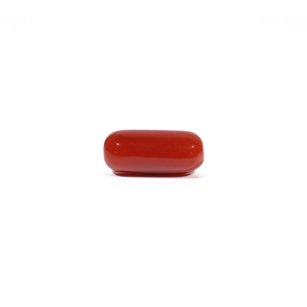 Red Coral - 4.8 Carat - Pramogh