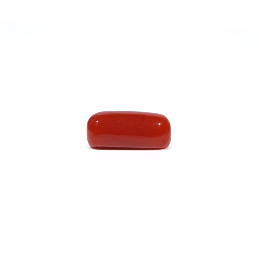 Red Coral - 4.8 Carat