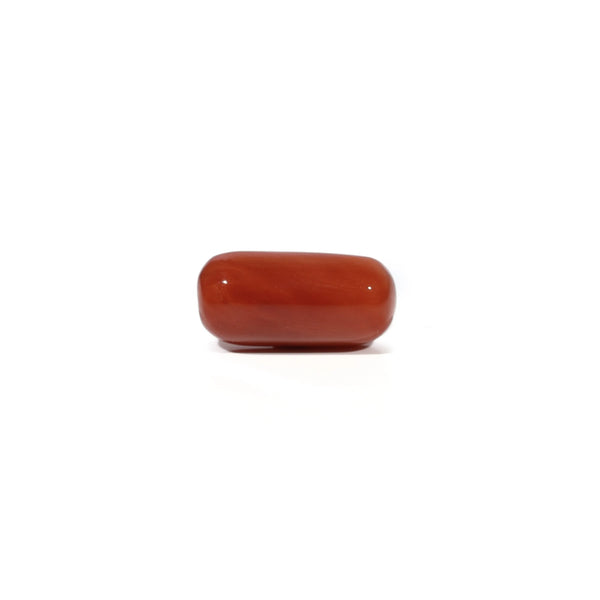 Red Coral - 5.05 Carat - Pramogh