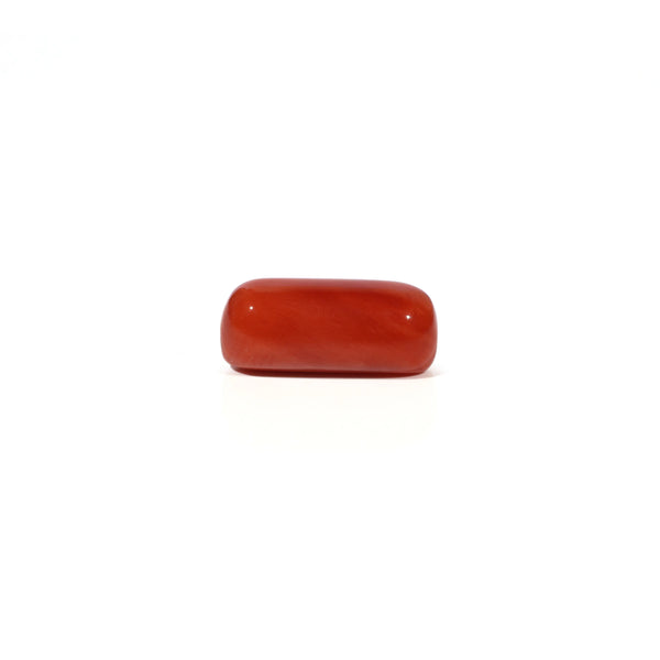 Red Coral - 5.05 Carat