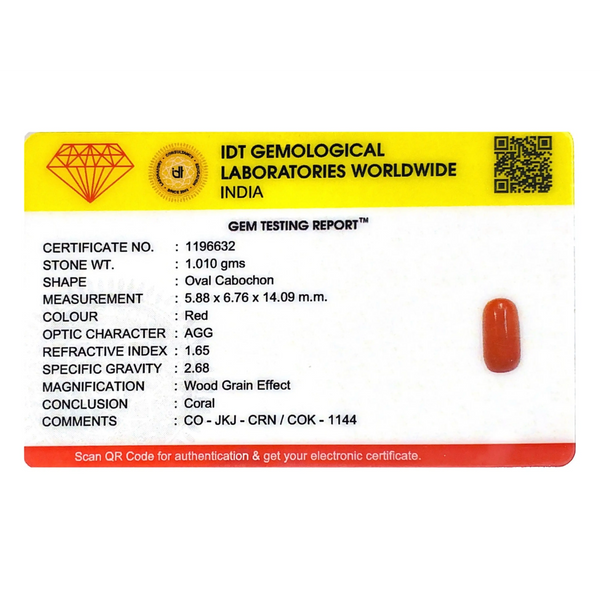 Red Coral - 5.05 Carat