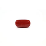 Red Coral - 5.04 Carat - Pramogh