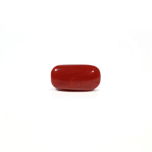 Red Coral - 5.04 Carat - Pramogh