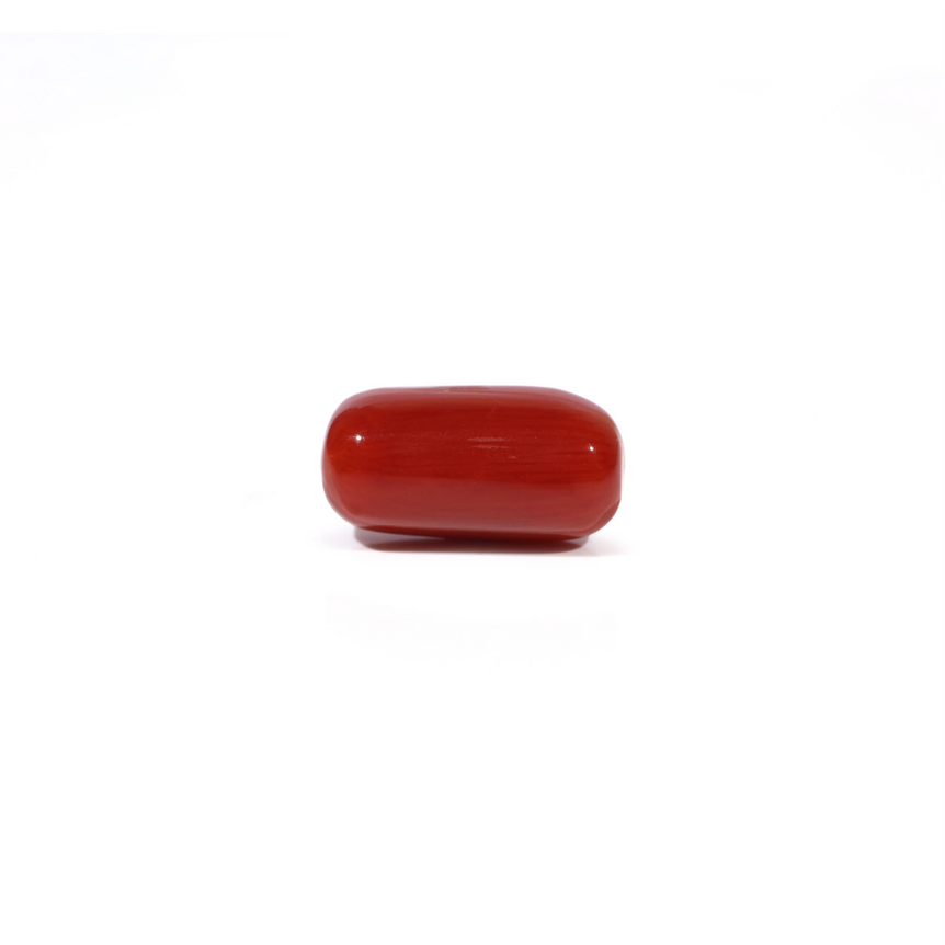 Red Coral - 5.04 Carat