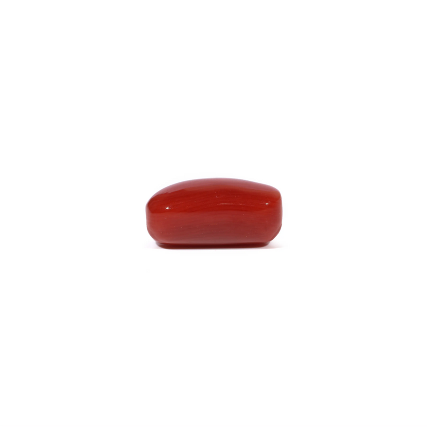 Red Coral - 5.04 Carat