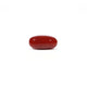 Red Coral - 4.84 Carat - Pramogh