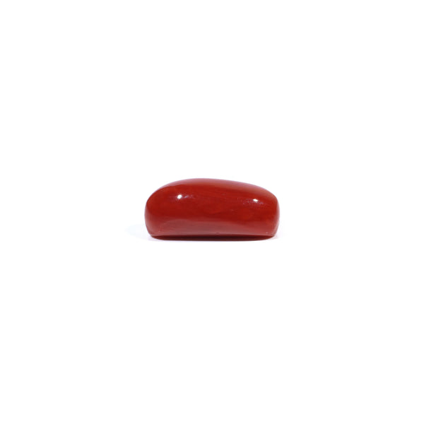 Red Coral - 4.84 Carat