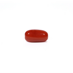 Red Coral - 4.88 Carat - Pramogh