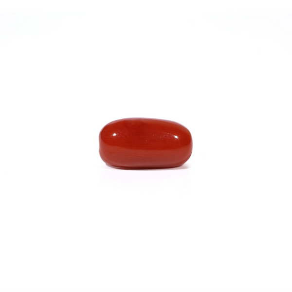 Red Coral - 4.88 Carat - Pramogh