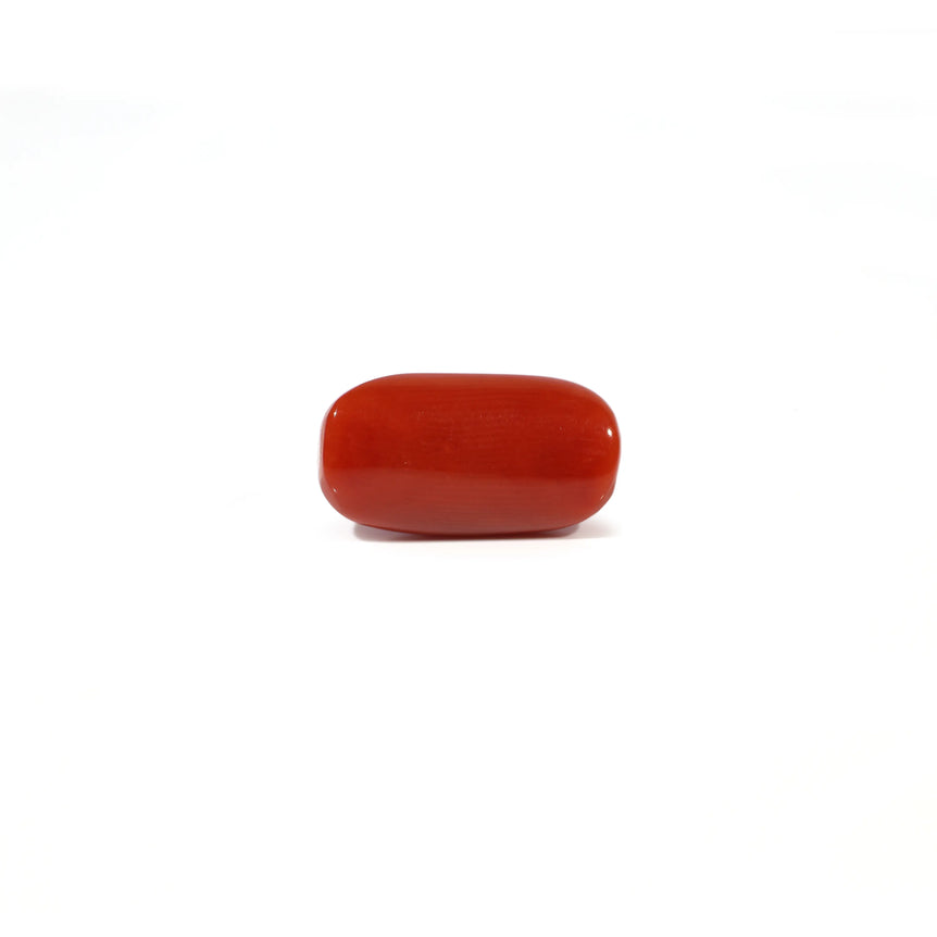 Red Coral - 4.88 Carat