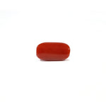 Red Coral - 4.88 Carat